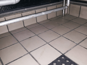 Palisades Restaurant Cleaning Results
